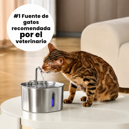 Kit de Hidratación Premium para Gatos y Perros Pequeños