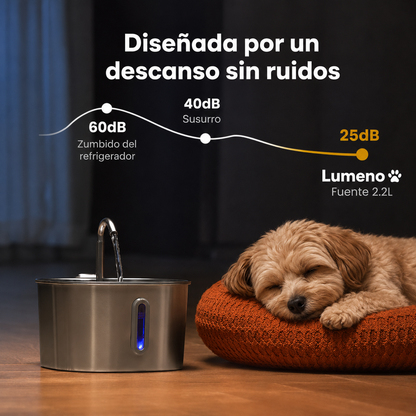 Kit de Hidratación Premium para Gatos y Perros Pequeños